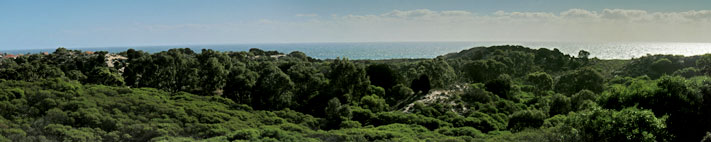 Trigg Bushland and Indian Ocean Panorama